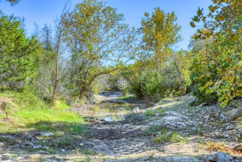 8256 S Us Highway 183 Briggs TX 78608