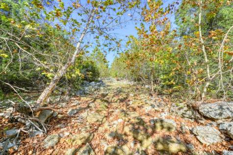 8256 S Us Highway 183 Briggs TX 78608