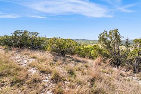 743 Welgehausen Road Fredericksburg TX 78624
