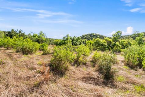 743 Welgehausen Road Fredericksburg TX 78624
