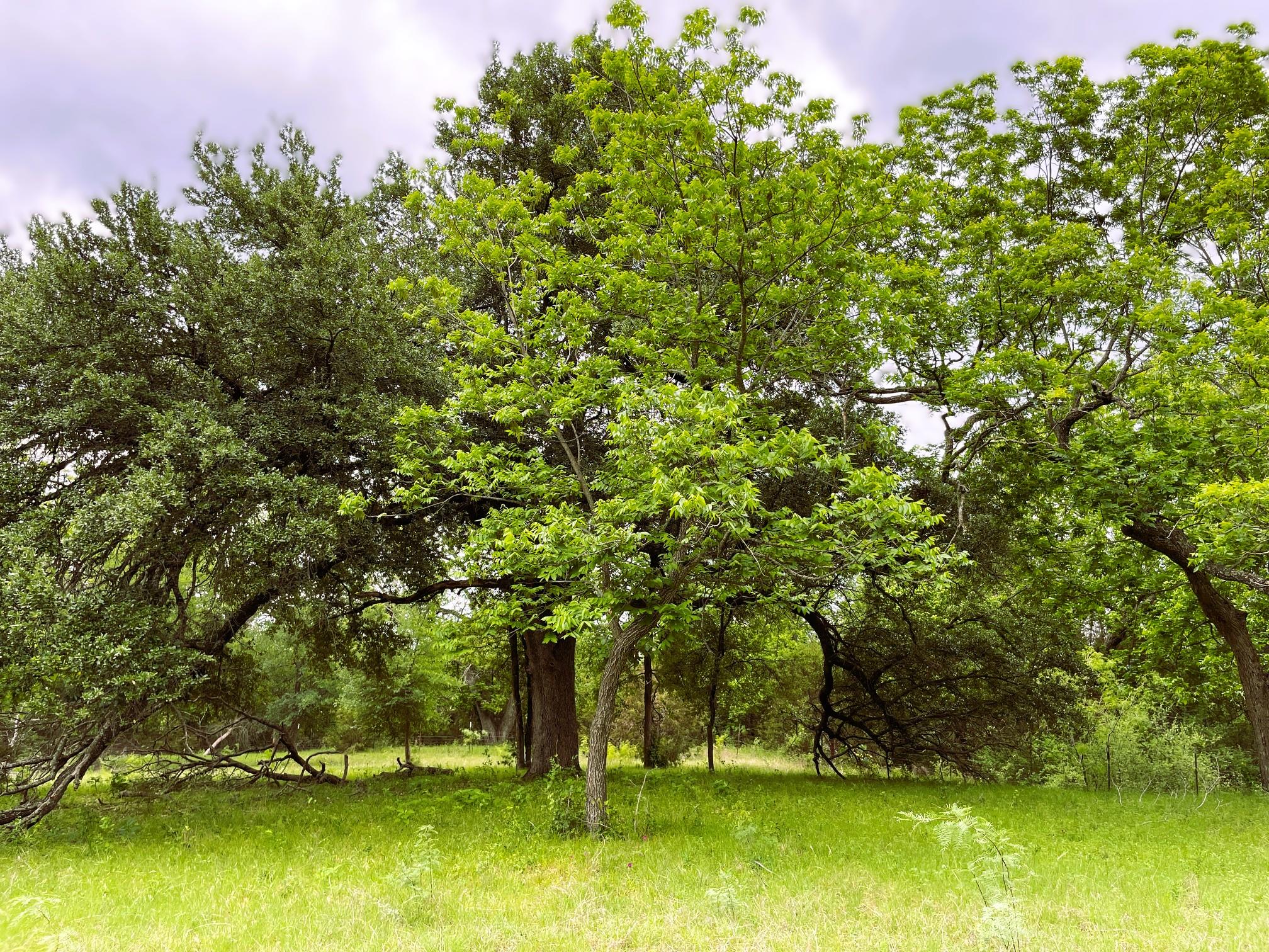 7866 County Road 404 Spicewood TX 78669