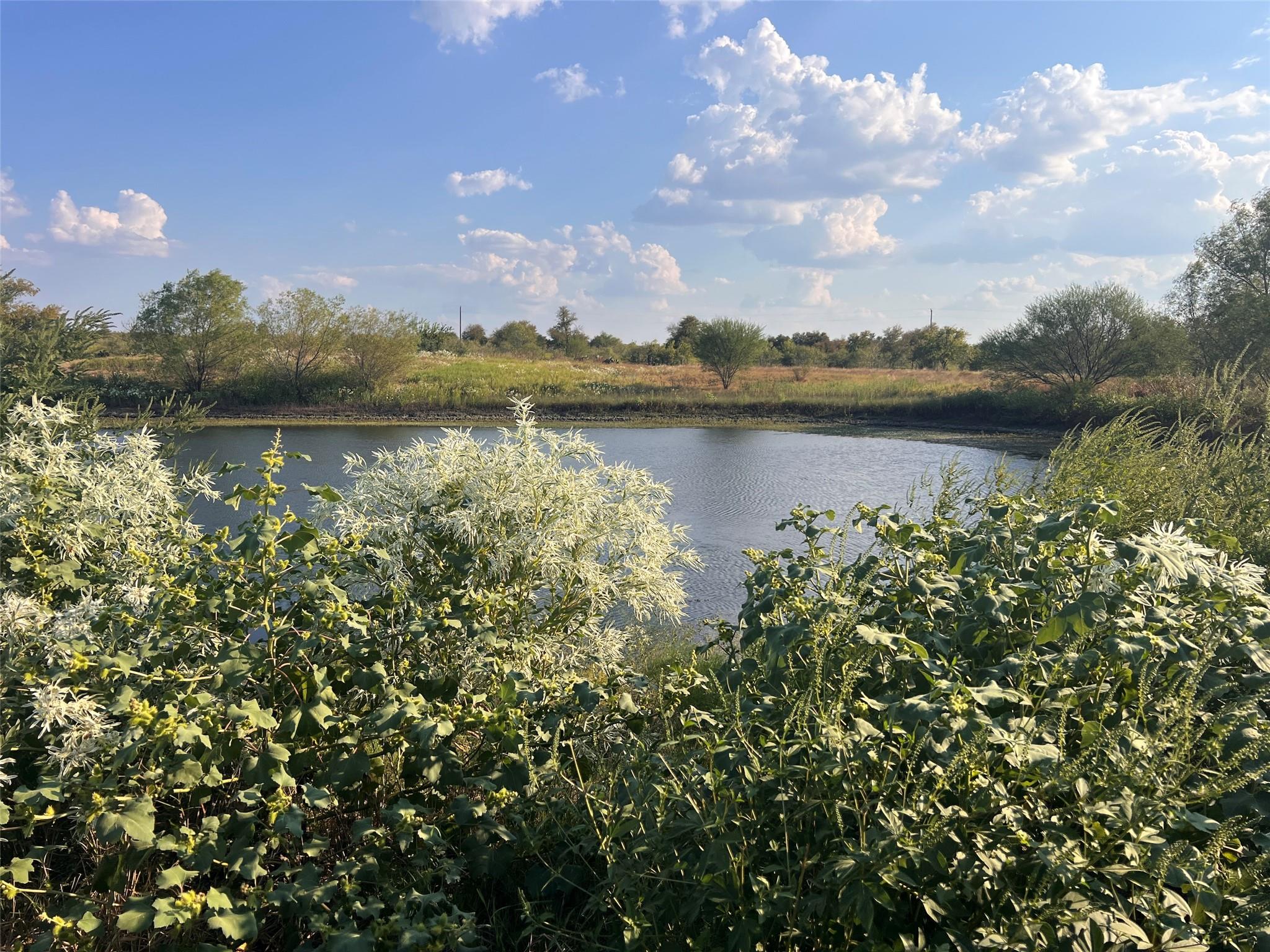 3191 County Road 463 Elgin TX 78621