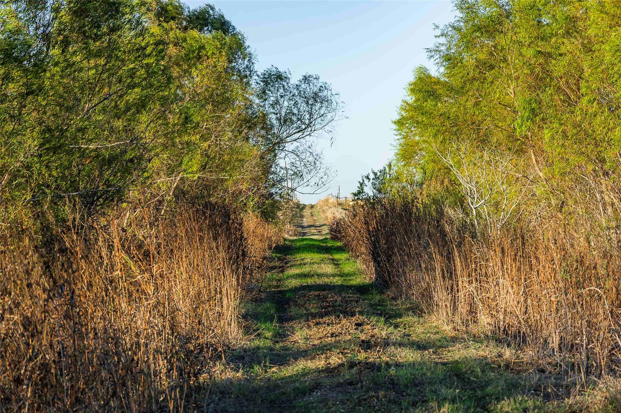 3191 County Road 463 Elgin TX 78621