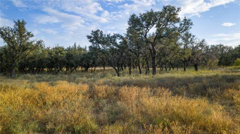 8500 Buck Ridge Drive Brady TX 76858