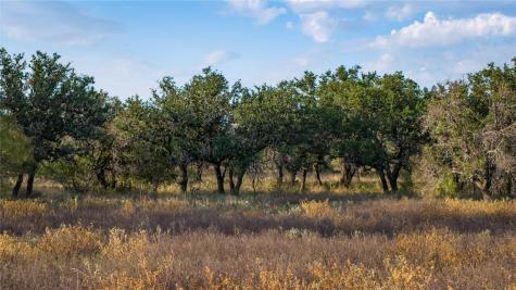 8500 Buck Ridge Drive Brady TX 76858
