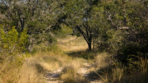 8500 Buck Ridge Drive Brady TX 76858