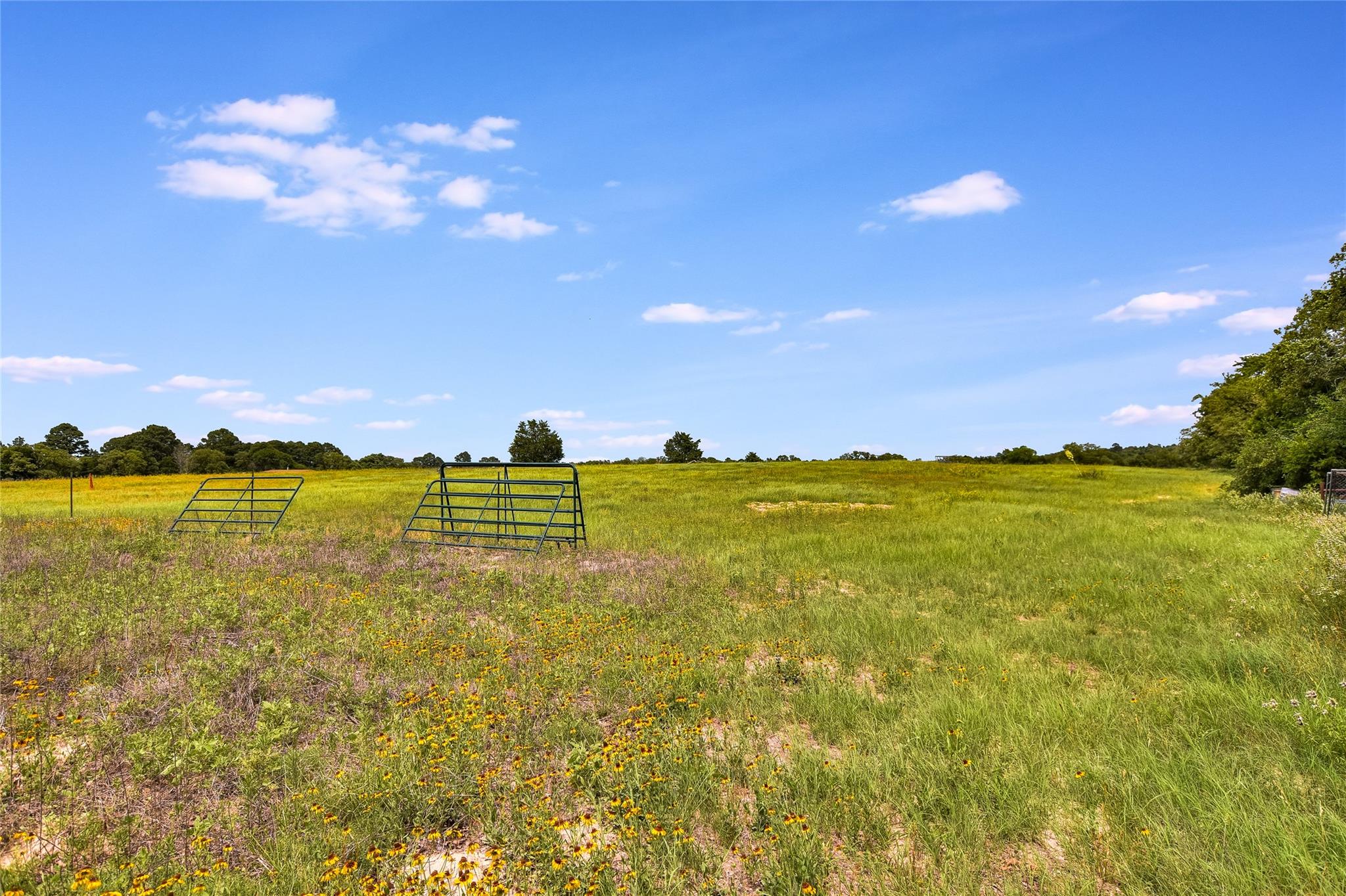 2187 Highway 290 E Mcdade TX 78650