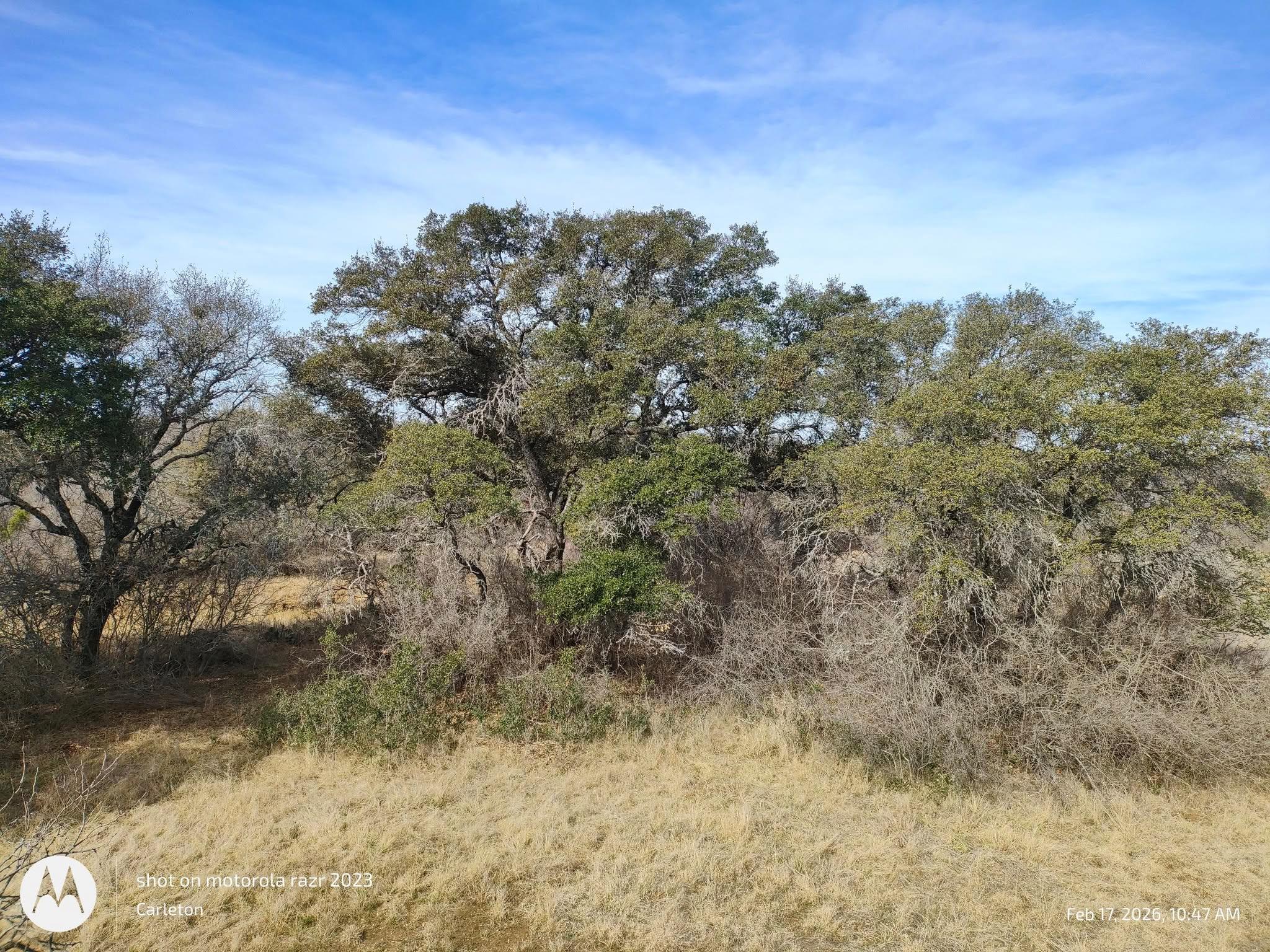 567 County Road 241 Rochelle TX 76872