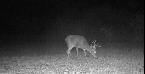 375 W County Road 401 Road Premont TX 78355