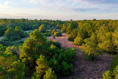 1400 Fm 535 Smithville TX 78957