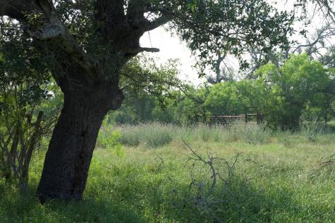 0 Taylorsville Road Red Rock TX 78662