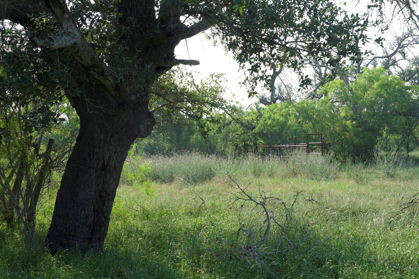 Tbd Taylorsville Road Red Rock TX 78662