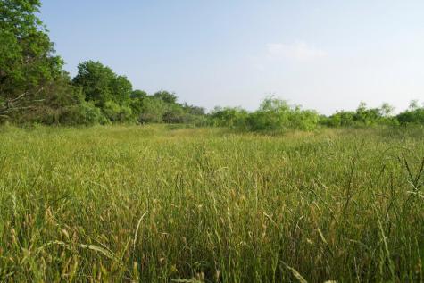 Tbd Taylorsville Road Red Rock TX 78662