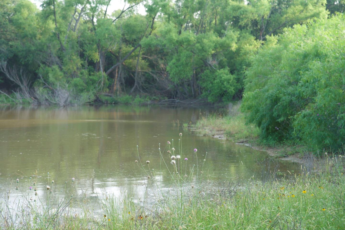 Tbd Taylorsville Road Red Rock TX 78662