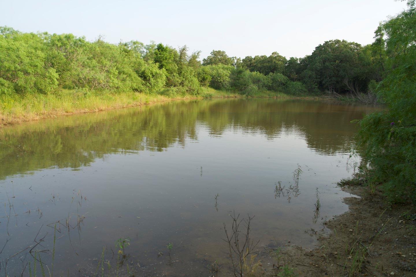 Tbd Taylorsville Road Red Rock TX 78662