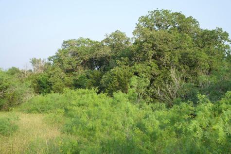 Tbd Taylorsville Road Red Rock TX 78662