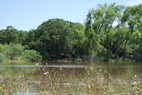 Tbd Taylorsville Road Red Rock TX 78662