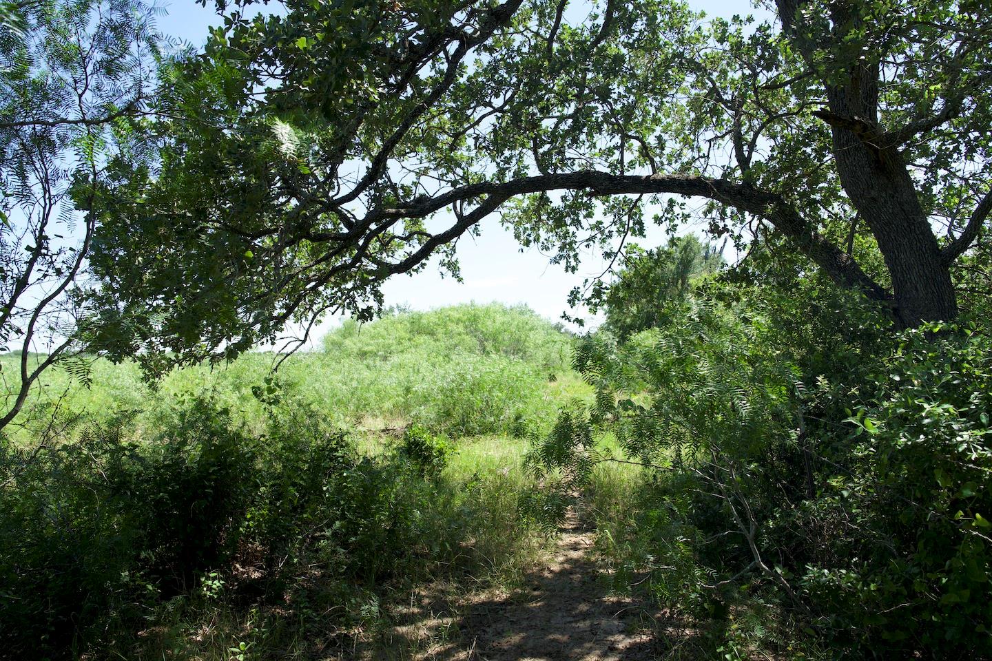 Tbd Taylorsville Road Red Rock TX 78662