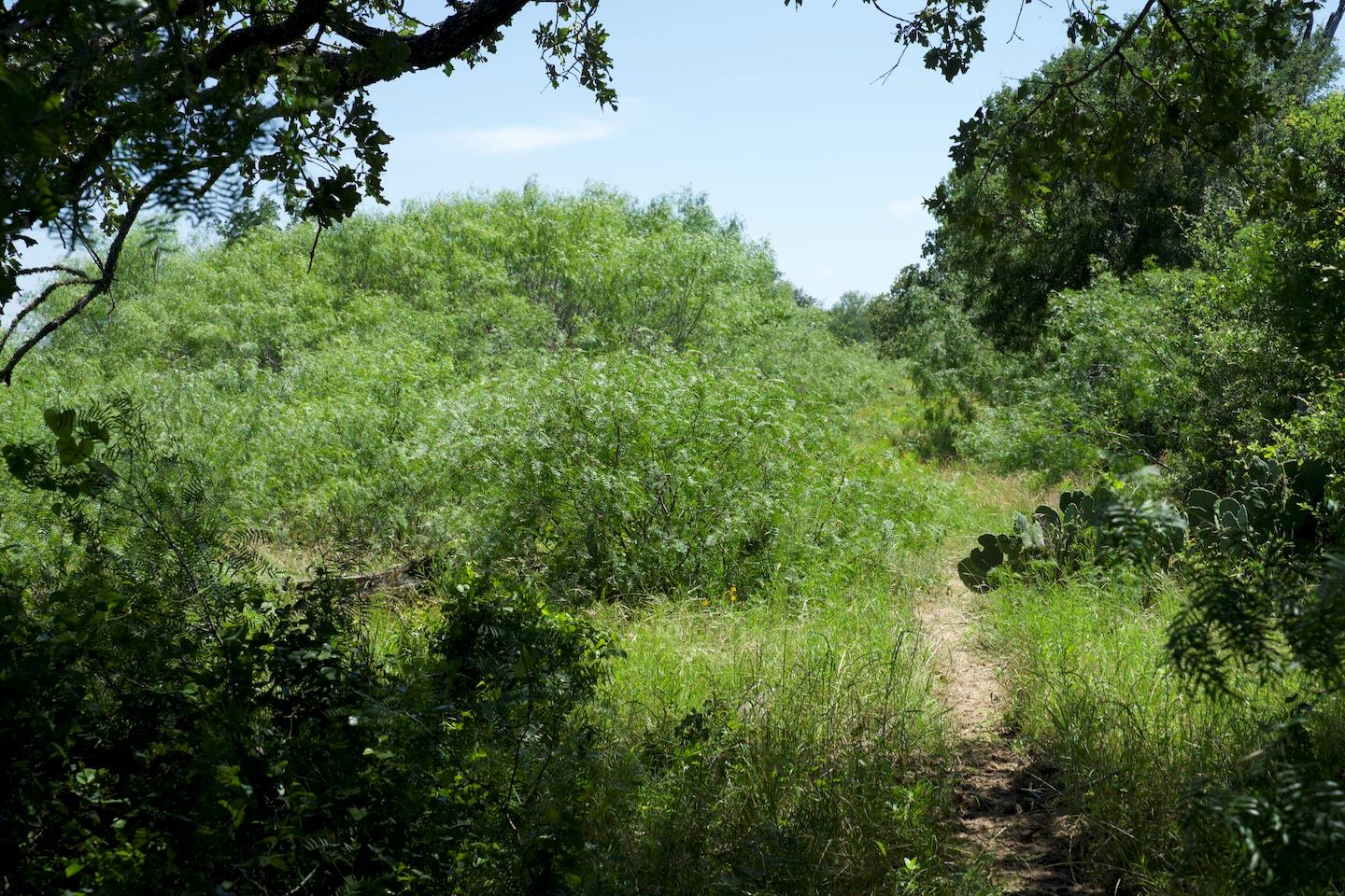 Tbd Taylorsville Road Red Rock TX 78662