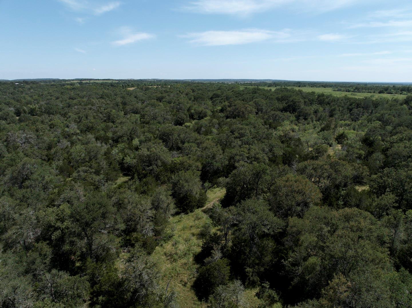 Tbd Taylorsville Road Red Rock TX 78662
