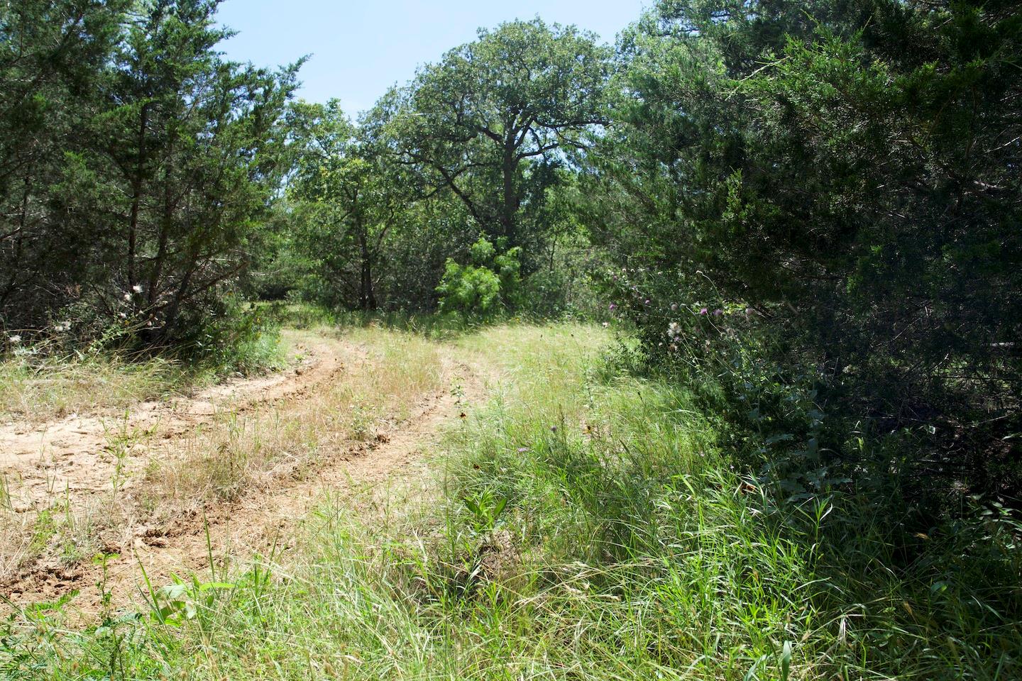 Tbd Taylorsville Road Red Rock TX 78662