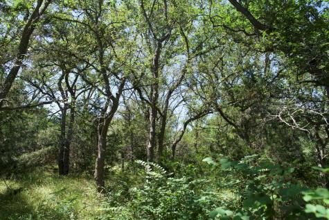 Tbd Taylorsville Road Red Rock TX 78662