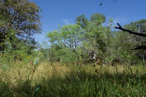Tbd Taylorsville Road Red Rock TX 78662