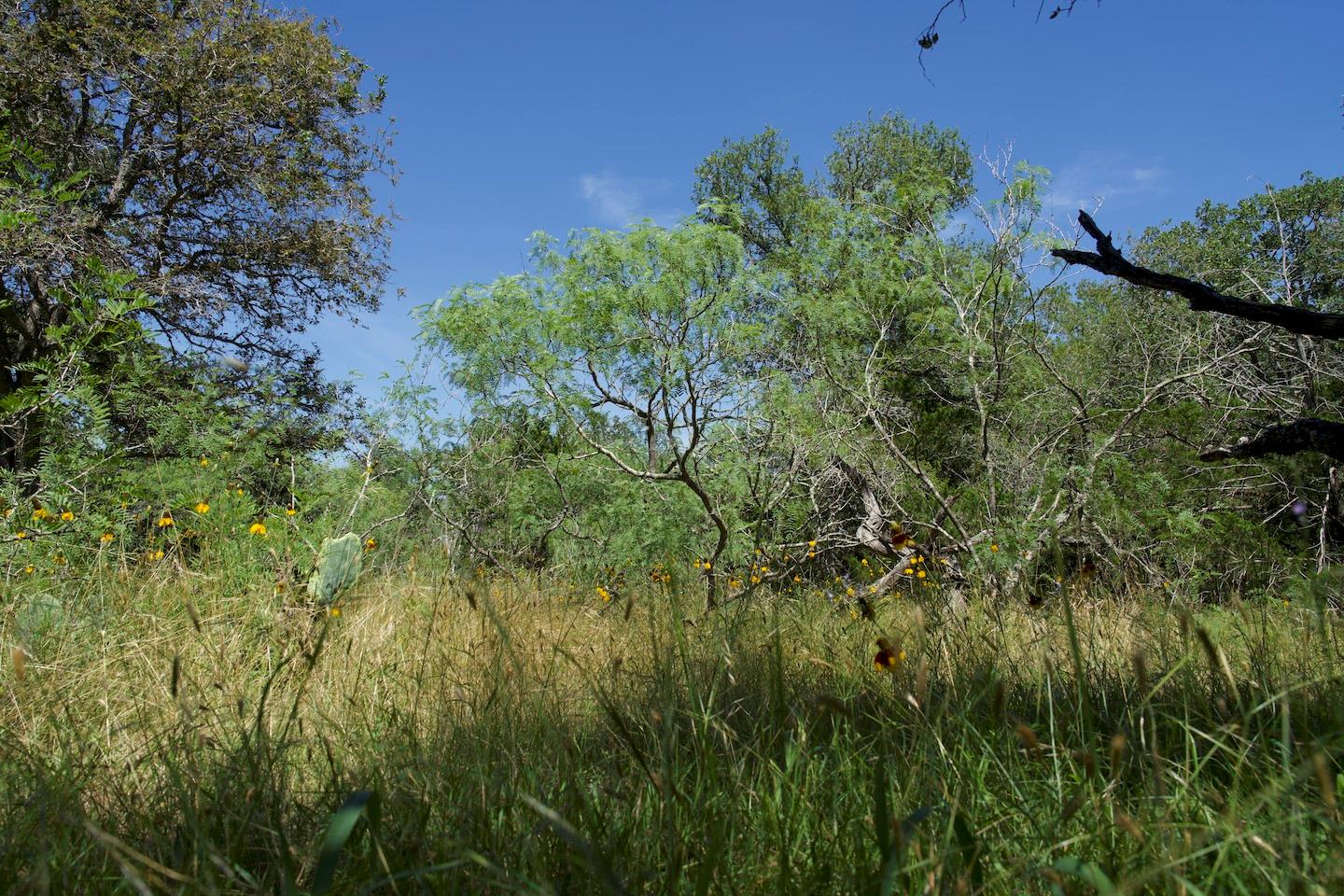 Tbd Taylorsville Road Red Rock TX 78662