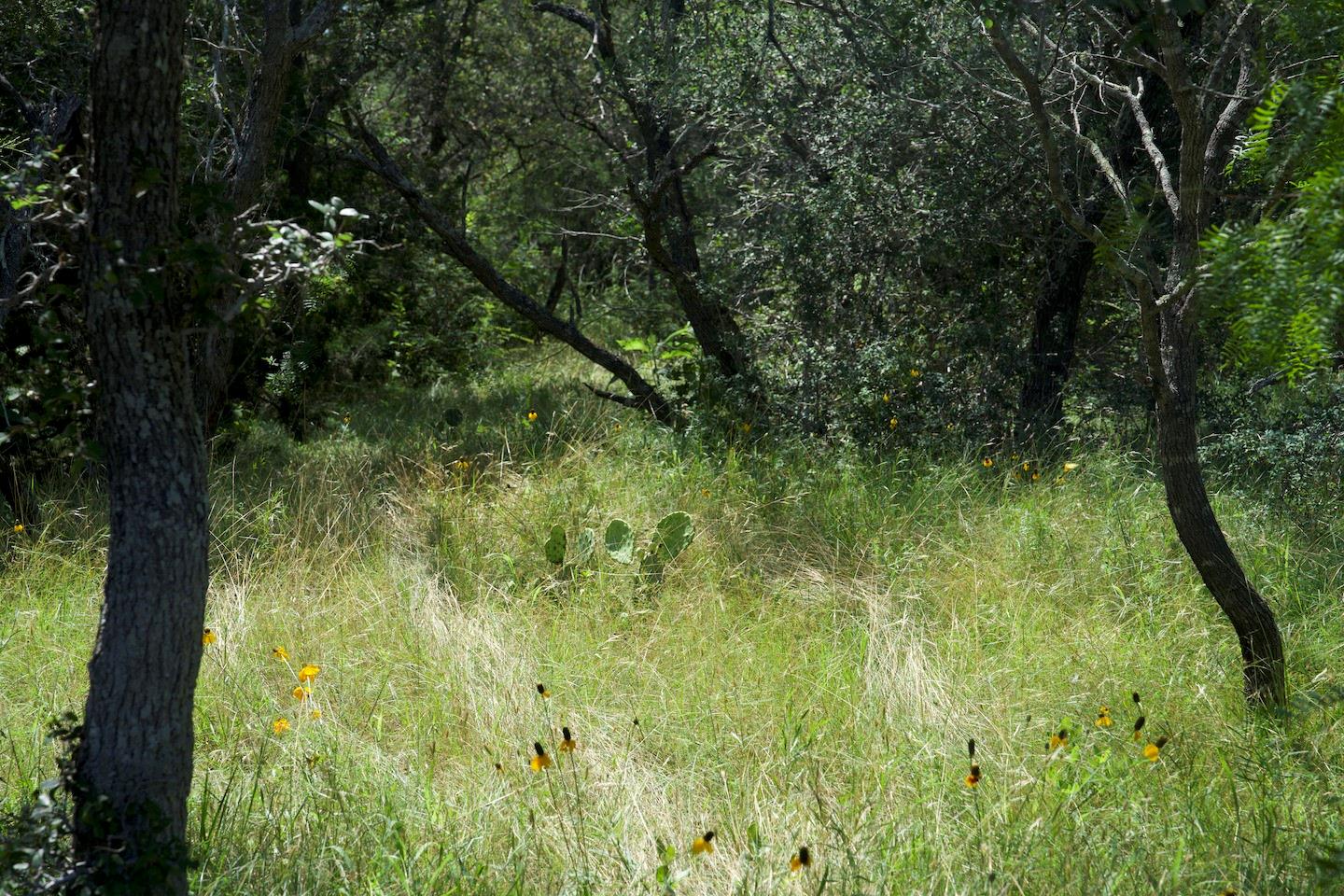 Tbd Taylorsville Road Red Rock TX 78662
