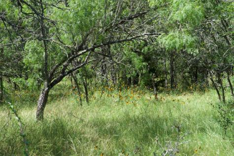 Tbd Taylorsville Road Red Rock TX 78662
