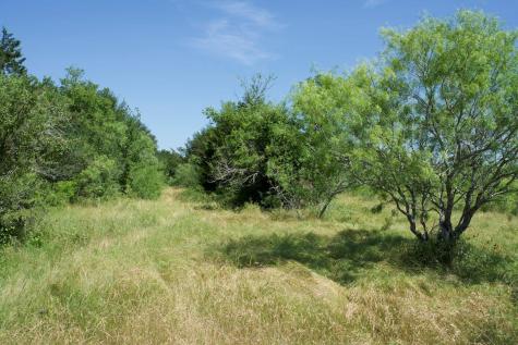 0 Taylorsville Road Red Rock TX 78662