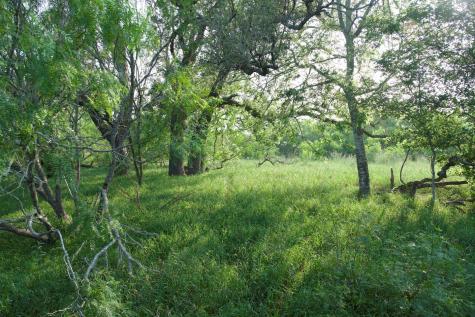 Tbd Taylorsville Road Red Rock TX 78662