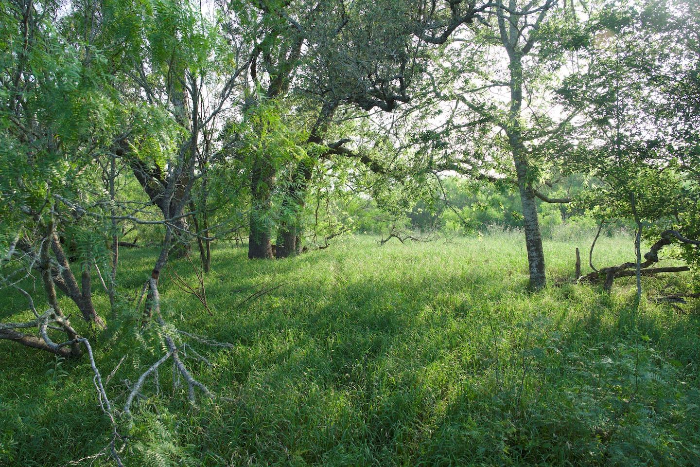 Tbd Taylorsville Road Red Rock TX 78662