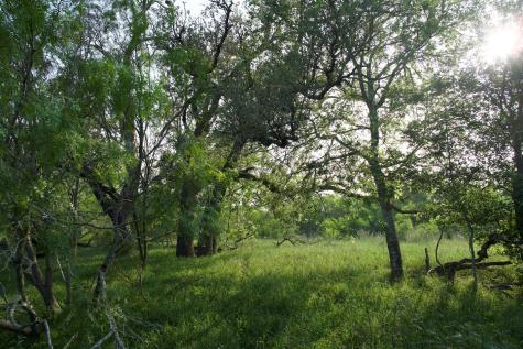 Tbd Taylorsville Road Red Rock TX 78662