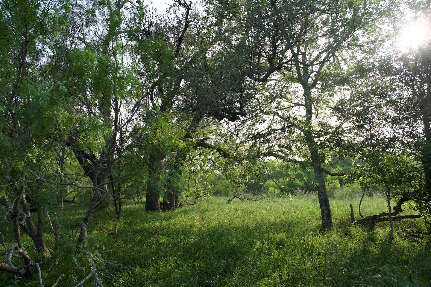 Tbd Taylorsville Road Red Rock TX 78662