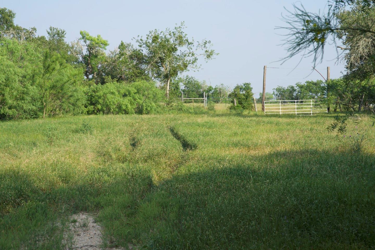 Tbd Taylorsville Road Red Rock TX 78662