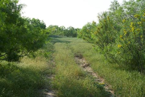Tbd Taylorsville Road Red Rock TX 78662