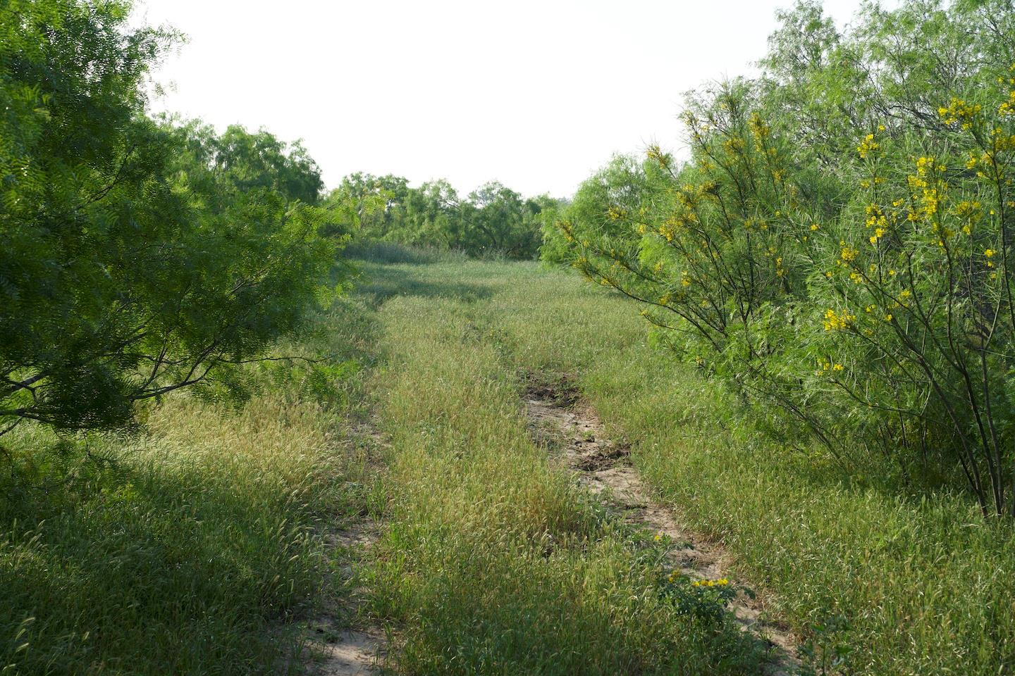 Tbd Taylorsville Road Red Rock TX 78662