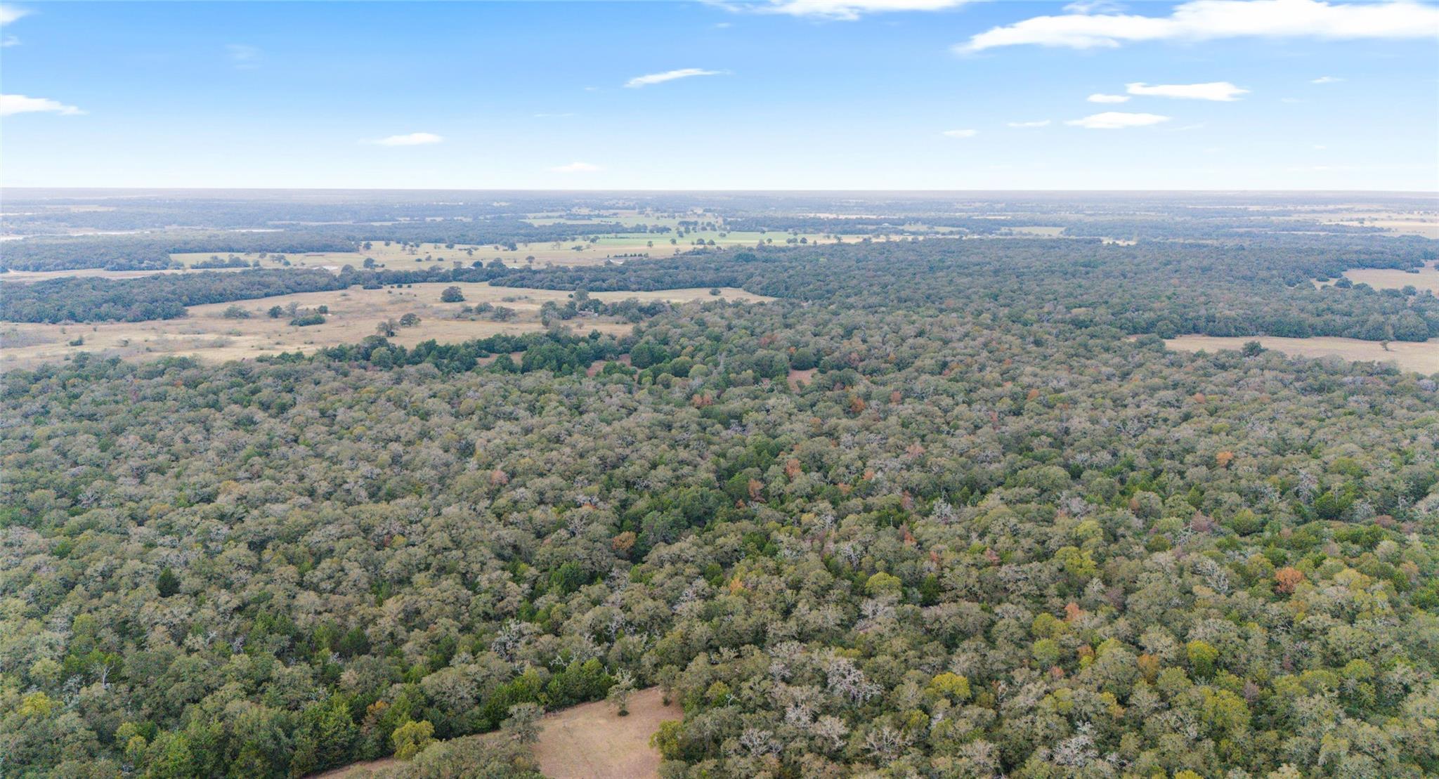 Tbd County Road Lexington TX 78947