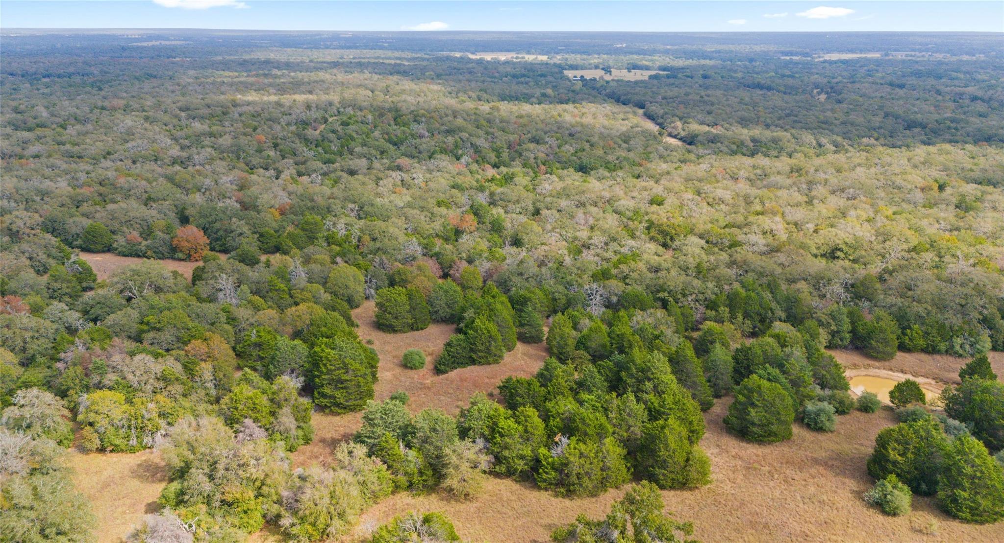 Tbd County Road Lexington TX 78947