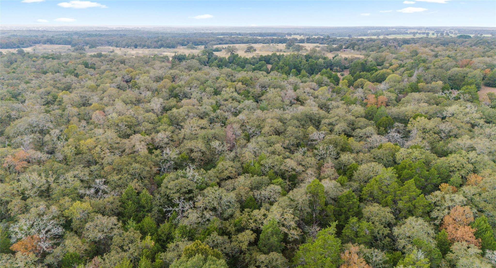 Tbd County Road Lexington TX 78947
