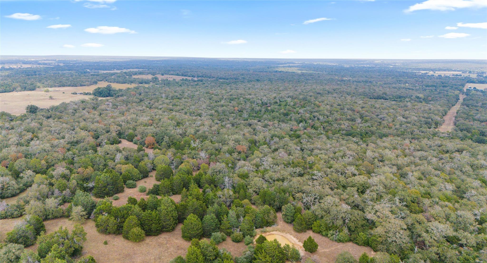 Tbd County Road Lexington TX 78947