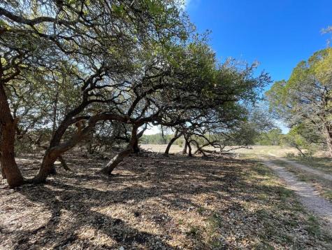 1400 Greer Lane Burnet TX 78611