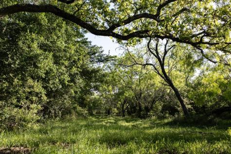 Tbd Anchor Ranch Lp Loop Cistern TX 78941