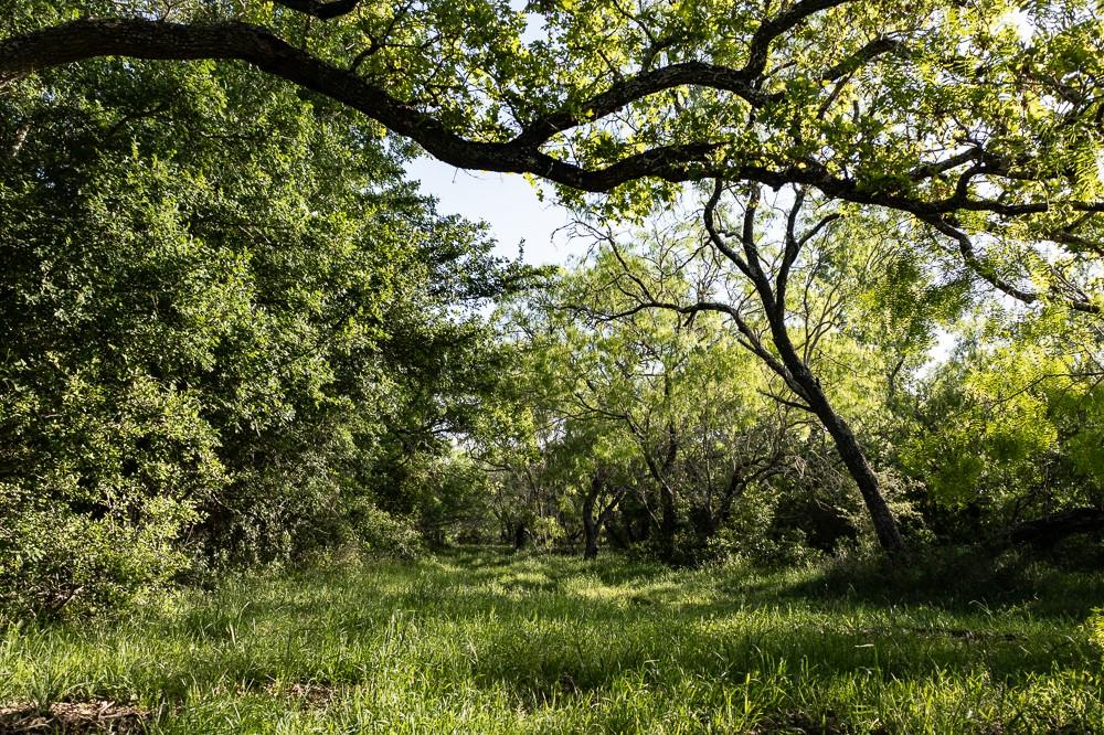 Tbd Anchor Ranch Lp Loop Cistern TX 78941
