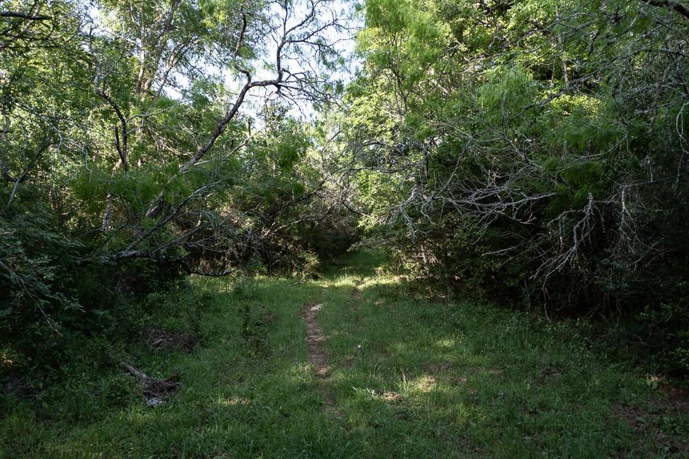 Tbd Anchor Ranch Lp Loop Cistern TX 78941