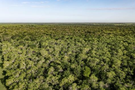 Tbd Anchor Ranch Lp Loop Cistern TX 78941