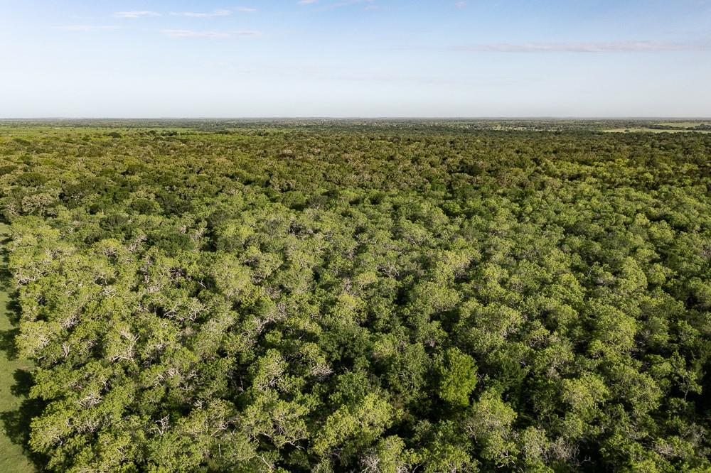 Tbd Anchor Ranch Lp Loop Cistern TX 78941