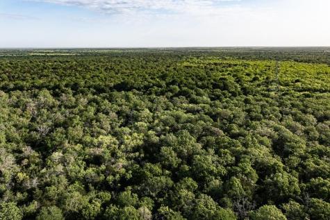 Tbd Anchor Ranch Lp Loop Cistern TX 78941