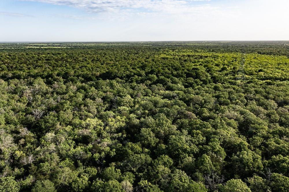 Tbd Anchor Ranch Lp Loop Cistern TX 78941